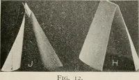 An illustration from Practical bookbinding : a text-book intended for those who take up the art of bookbinding, and designed to give sufficient help to enable handy persons to bind their books and periodicals (1908)