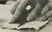 An illustration from Practical bookbinding : a text-book intended for those who take up the art of bookbinding, and designed to give sufficient help to enable handy persons to bind their books and periodicals (1908)