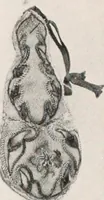 An illustration from The practical book of early American arts and crafts (1916)
