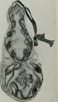 An illustration from The practical book of early American arts and crafts (1916)