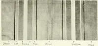 An illustration from The practical book of furnishing the small house and apartment (1922)