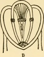 An illustration from The practical book of period furniture, treating of furniture of the English, American colonial and post-colonial and principal French periods (1914)