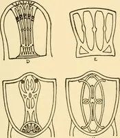 Picture 194 of 272 from The practical book of period furniture, treating of furniture of the English, American colonial and post-colonial and principal French periods (1914), leaf 296