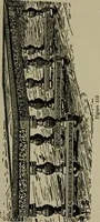 An illustration from The practical cabinet maker and furniture designer's assistant, with essays on history of furniture, taste in design, color and materials, with full explanation of the canons of good taste in furniture .. (1910)