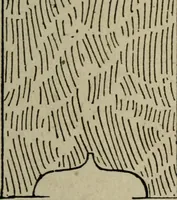 An illustration from The practical cabinet maker and furniture designer's assistant, with essays on history of furniture, taste in design, color and materials, with full explanation of the canons of good taste in furniture .. (1910)