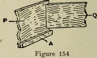 An illustration from The practical cabinet maker and furniture designer's assistant, with essays on history of furniture, taste in design, color and materials, with full explanation of the canons of good taste in furniture .. (1910)