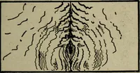 An illustration from The practical cabinet maker and furniture designer's assistant, with essays on history of furniture, taste in design, color and materials, with full explanation of the canons of good taste in furniture .. (1910)