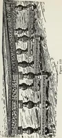 An illustration from The practical cabinet maker and furniture designer's assistant, with essays on history of furniture, taste in design, color and materials, with full explanation of the canons of good taste in furniture .. (1910)