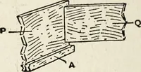 An illustration from The practical cabinet maker and furniture designer's assistant, with essays on history of furniture, taste in design, color and materials, with full explanation of the canons of good taste in furniture .. (1910)