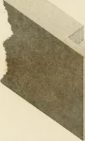 An illustration from Practical carpentry, joinery, and cabinet-making : being a new and complete system of lines for the use of workmen, founded on accurate geometrical and mechanical principles ... / by Peter Nicholson ; revised by Thomas Tredgold (1853)