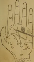 An illustration from Practical cheirosophy, a synoptical study of the science of the hand (1887)