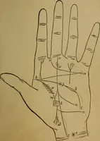 An illustration from Practical cheirosophy, a synoptical study of the science of the hand (1887)