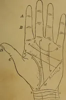 An illustration from Practical cheirosophy, a synoptical study of the science of the hand (1887)