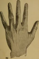 An illustration from Practical cheirosophy, a synoptical study of the science of the hand (1887)