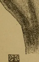 An illustration from Practical cheirosophy, a synoptical study of the science of the hand (1887)