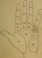An illustration from Practical cheirosophy, a synoptical study of the science of the hand (1887)