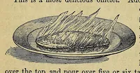 Picture 11 of 11 from Practical cooking and dinner giving : a treatise containing practical instructions in cooking, in the combination and serving of dishes, and in the fashionable modes of entertaining at breakfast, lunch, and dinner (1877), leaf 218