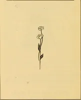 An illustration from Practical cotton calculations; a treatise relating to cotton yarn, cloth structure, loom and miscellaneous cotton mill calculations (1907)