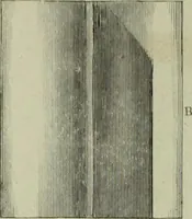 An illustration from The practical draughtsman's book of industrial design and machinist's and engineer's companion : forming a complete course of mechanical, engineering and architectural drawing (1866)