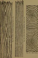 An illustration from Practical draughtsmen's work, with numerous engravings and diagrams (1903)