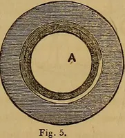 An illustration from The practical draughtsman's book of industrial design, and machinist's and engineer's drawing companion: forming a complete course of mechanical, engineering, and architectural drawing. (1857)