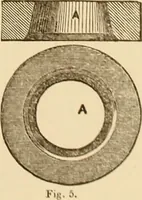 An illustration from The practical draughtsman's book of industrial design, and machinist's and engineer's drawing companion: forming a complete course of mechanical, engineering, and architectural drawing (1866)