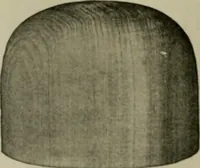 An illustration from Practical dry cleaner, scourer and garment dyer, comprising dry, chemical or French cleaning : purification of benzine, removal of stains or spotting, wet cleaning, including the cleaning of Palm Beach suits and other summer fabrics (1919)