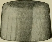 An illustration from Practical dry cleaner, scourer and garment dyer, comprising dry, chemical or French cleaning : purification of benzine, removal of stains or spotting, wet cleaning, including the cleaning of Palm Beach suits and other summer fabrics (1919)