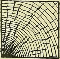 Picture 14 of 166 from Practical engineering drawing and third angle projection, for students in scientific, technical and manual training schools and for ... draughtsmen .. (1897), leaf 31