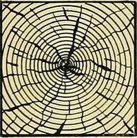 Picture 16 of 166 from Practical engineering drawing and third angle projection, for students in scientific, technical and manual training schools and for ... draughtsmen .. (1897), leaf 32
