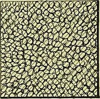 Picture 83 of 166 from Practical engineering drawing and third angle projection, for students in scientific, technical and manual training schools and for ... draughtsmen .. (1897), leaf 93