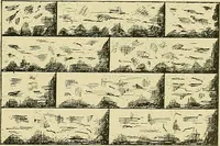 Picture 86 of 166 from Practical engineering drawing and third angle projection, for students in scientific, technical and manual training schools and for ... draughtsmen .. (1897), leaf 94
