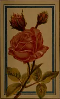 Picture 17 of 57 from Practical instructions in enamel painting on glass, china, tiles, etc., : to which is added full instructions for the manufacture of the vitreous pigments required, with twelve pages of instructions (1874), leaf 74