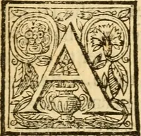 An illustration from A practicall discourse concerning God's decrees : in two parts (1659)