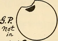 An illustration from Practical lessons on the lever escapement, its tests, errors, their detection and correction (1916)