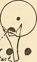 An illustration from Practical lessons on the lever escapement, its tests, errors, their detection and correction (1916)