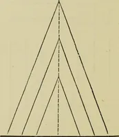 An illustration from A practical manual of house-painting, graining, marbling and sign-writing : containing full information on the processes of house-painting in oil and distemper, the formation of letters and practice of sign-writing, the principles of decorative art, a course of elementary drawing for house-painters, writers, etc., and a collection of useful receipts ; with nine coloured illustrations of woods and marbles, and numerous wood engravings (1888)
