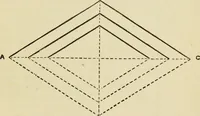 An illustration from A practical manual of house-painting, graining, marbling and sign-writing : containing full information on the processes of house-painting in oil and distemper, the formation of letters and practice of sign-writing, the principles of decorative art, a course of elementary drawing for house-painters, writers, etc., and a collection of useful receipts ; with nine coloured illustrations of woods and marbles, and numerous wood engravings (1888)
