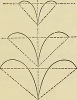 An illustration from A practical manual of house-painting, graining, marbling and sign-writing : containing full information on the processes of house-painting in oil and distemper, the formation of letters and practice of sign-writing, the principles of decorative art, a course of elementary drawing for house-painters, writers, etc., and a collection of useful receipts ; with nine coloured illustrations of woods and marbles, and numerous wood engravings (1888)