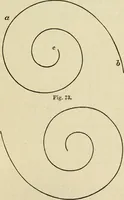 An illustration from A practical manual of house-painting, graining, marbling and sign-writing : containing full information on the processes of house-painting in oil and distemper, the formation of letters and practice of sign-writing, the principles of decorative art, a course of elementary drawing for house-painters, writers, etc., and a collection of useful receipts ; with nine coloured illustrations of woods and marbles, and numerous wood engravings (1888)