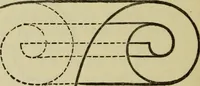 An illustration from A practical manual of house-painting, graining, marbling and sign-writing : containing full information on the processes of house-painting in oil and distemper, the formation of letters and practice of sign-writing, the principles of decorative art, a course of elementary drawing for house-painters, writers, etc., and a collection of useful receipts ; with nine coloured illustrations of woods and marbles, and numerous wood engravings (1888)