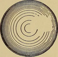 An illustration from Practical mechanical drawing and machine design self taught .. (1907)