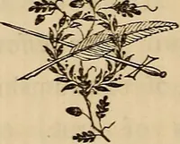 An illustration from Practical occultism: a course of lectures through the trance mediumship of J.J. Morse (1888)
