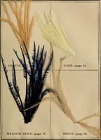 Picture 5 of 15 from The practical ostrich feather dyer (1888), leaf 62