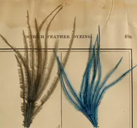 Picture 6 of 15 from The practical ostrich feather dyer (1888), leaf 70