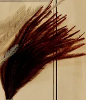 Picture 7 of 15 from The practical ostrich feather dyer (1888), leaf 70