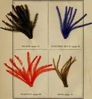 An illustration from The practical ostrich feather dyer (1888)