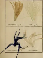 An illustration from The practical ostrich feather dyer (1888)