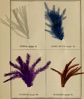 An illustration from The practical ostrich feather dyer (1888)