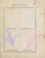 An illustration from The practical ostrich feather dyer (1888)